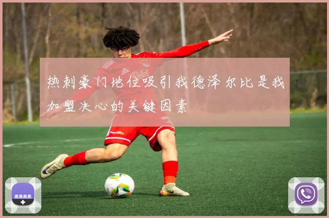 热刺豪门地位吸引我德泽尔比是我加盟决心的关键因素