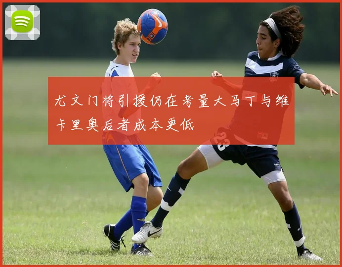 尤文门将引援仍在考量大马丁与维卡里奥后者成本更低